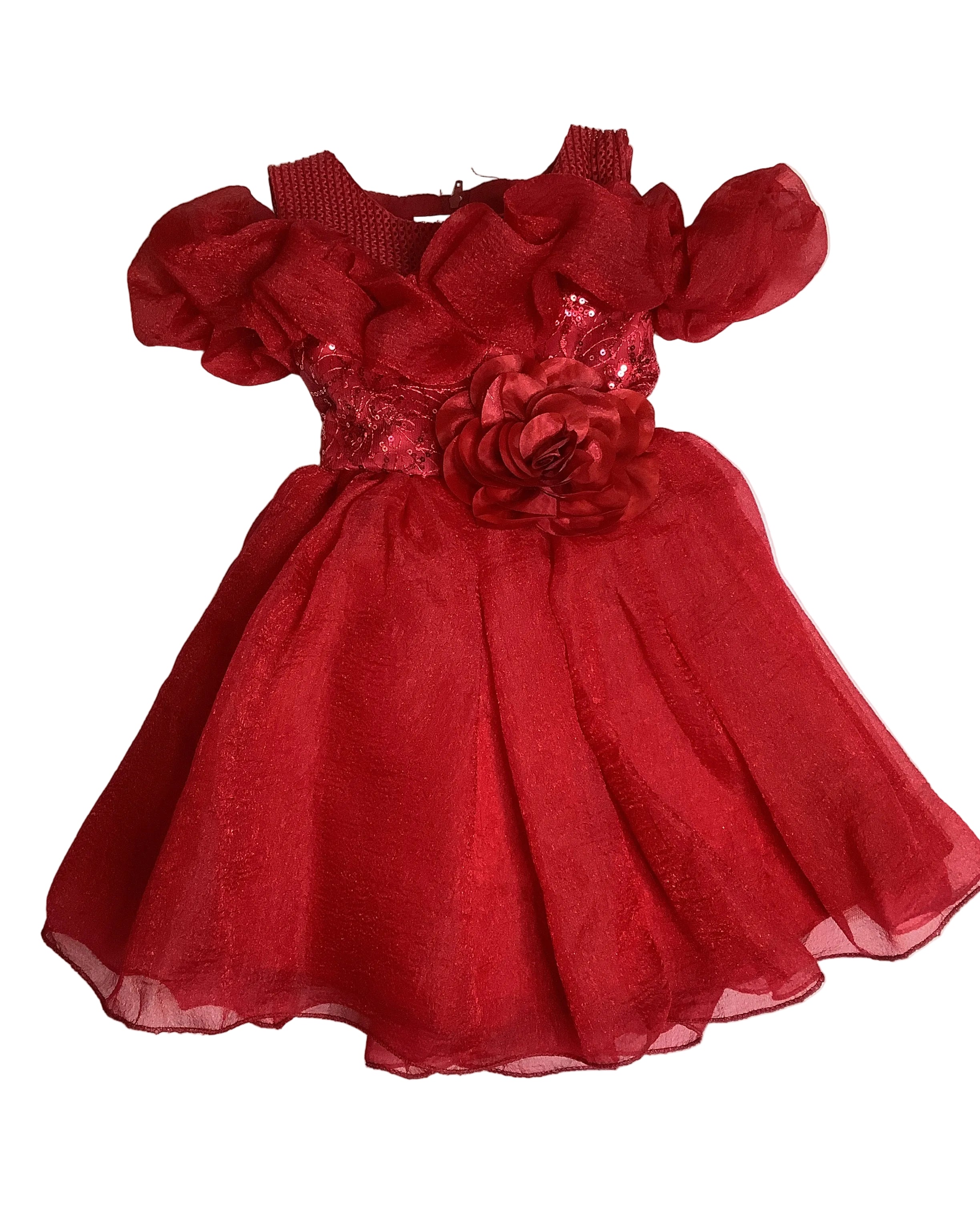 Baby Girl Ball Gown.