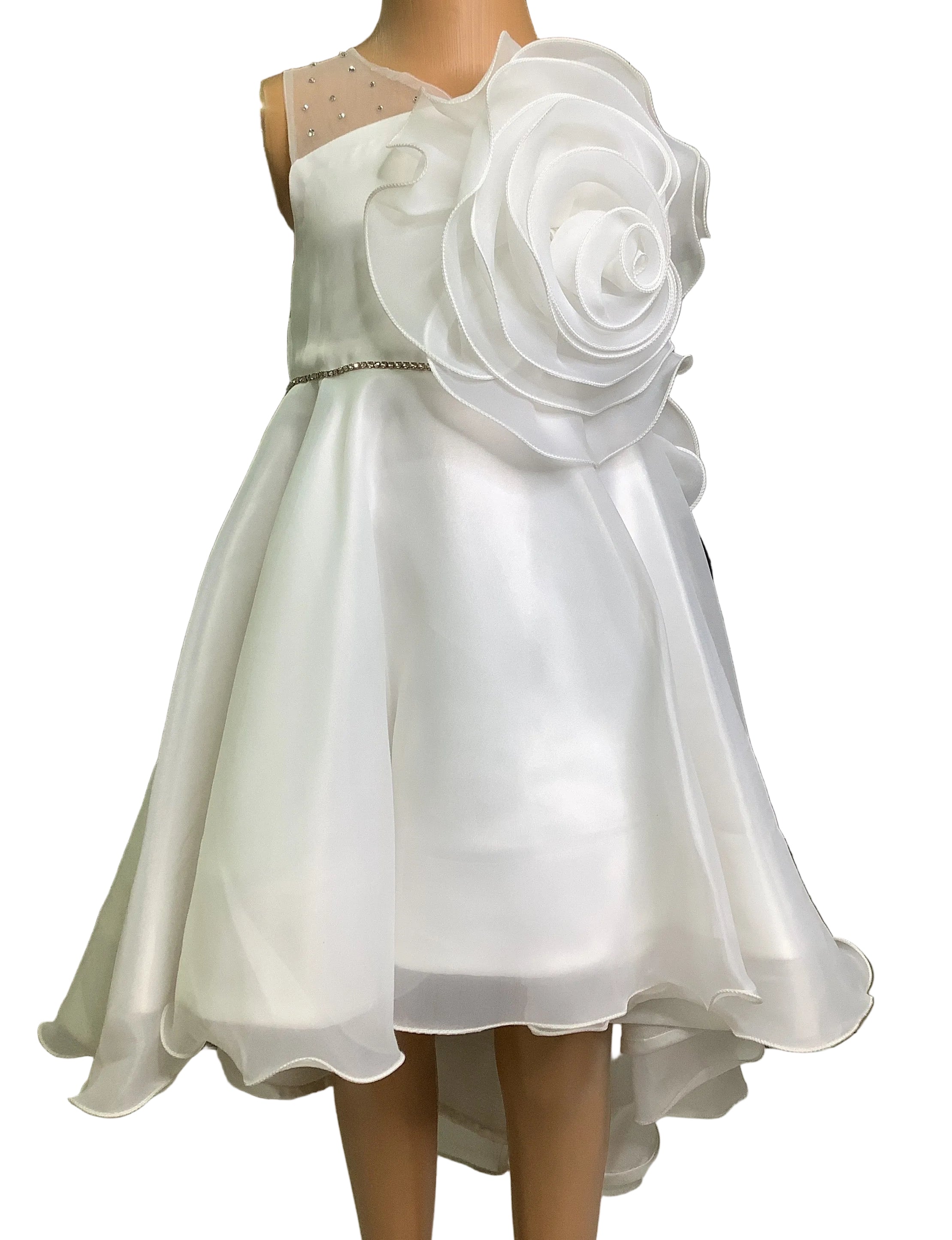 Elenora Princess Girls’ Ball Gown Dress
