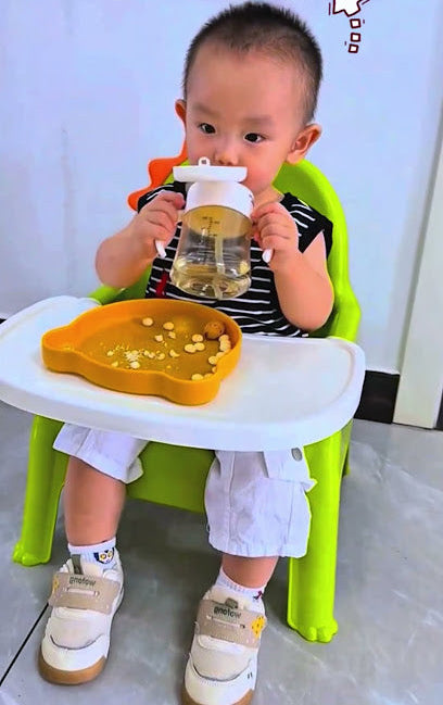 Baby Is Funny Kids Feeding Chair