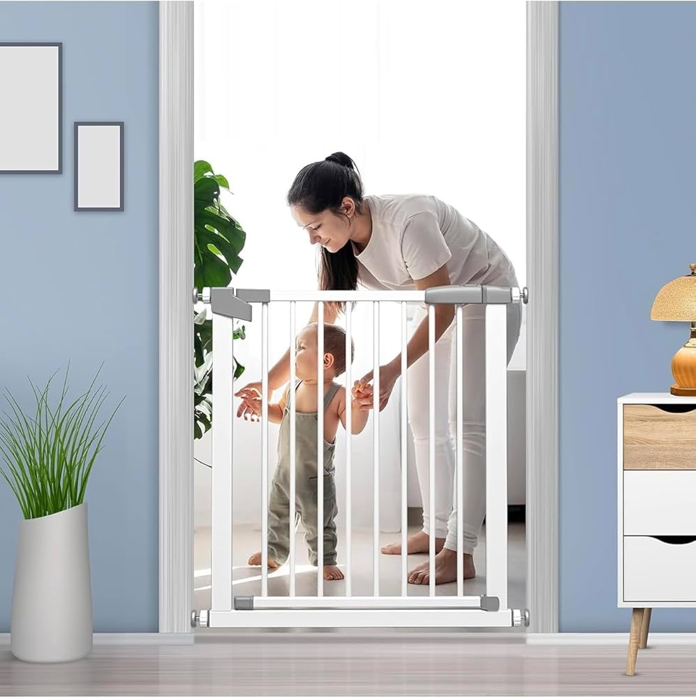 Barricade (Multi-Use Retractable Gate).