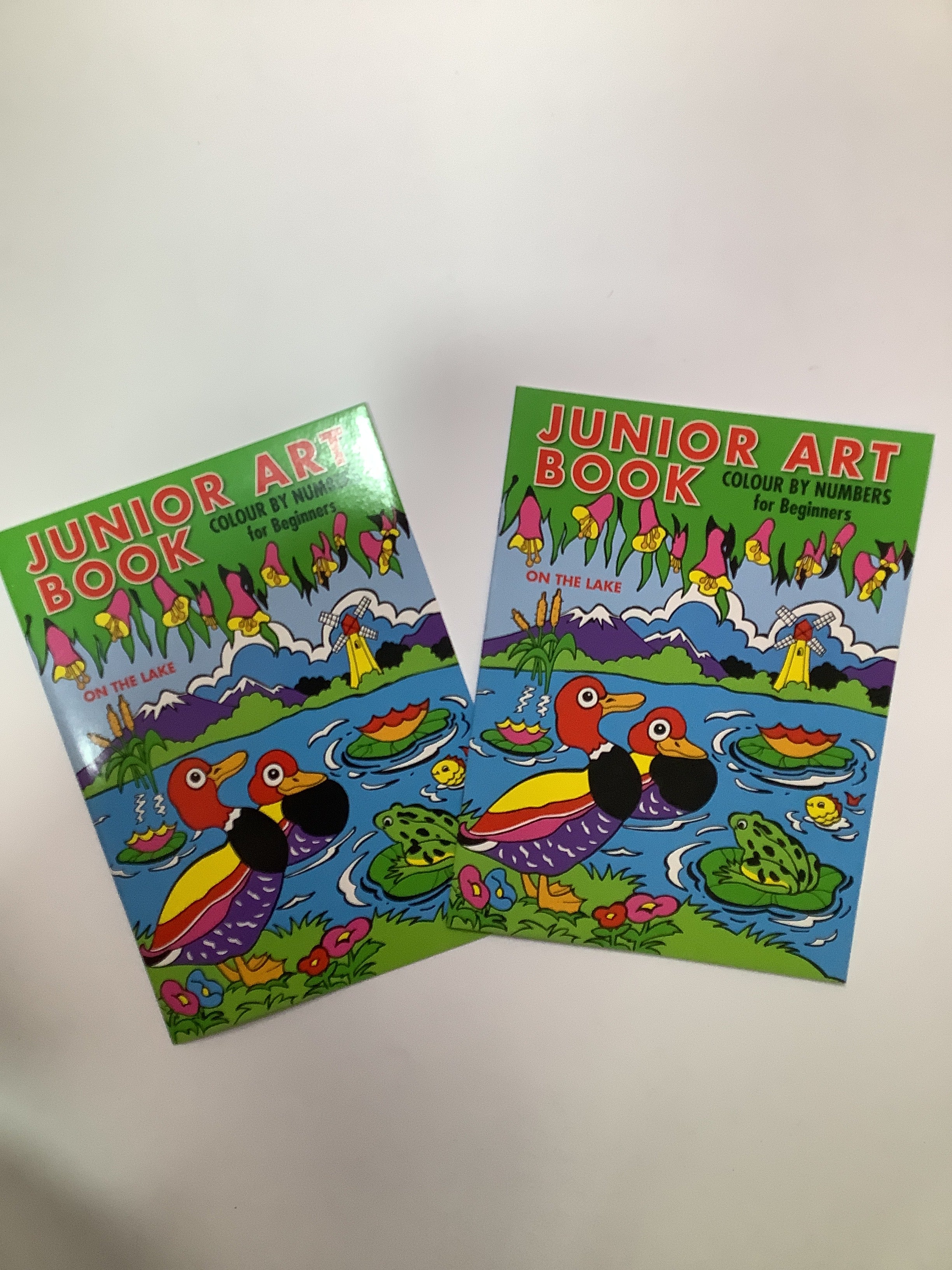 Junior Art Book Colour By Numbers For Beginners (On The Lake).