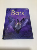 Usborne beginners (Bats)