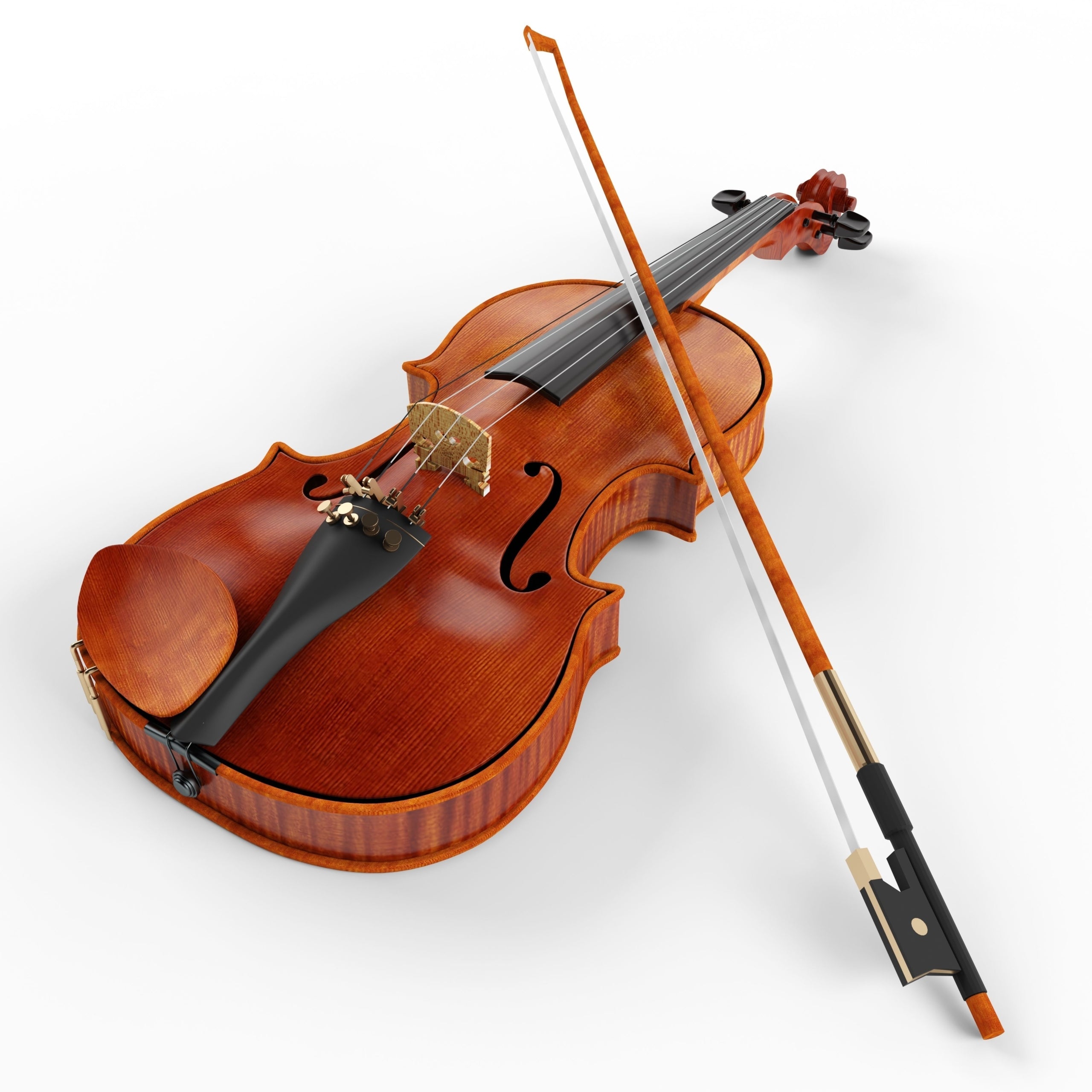 Violin Musical instrument Premiere England