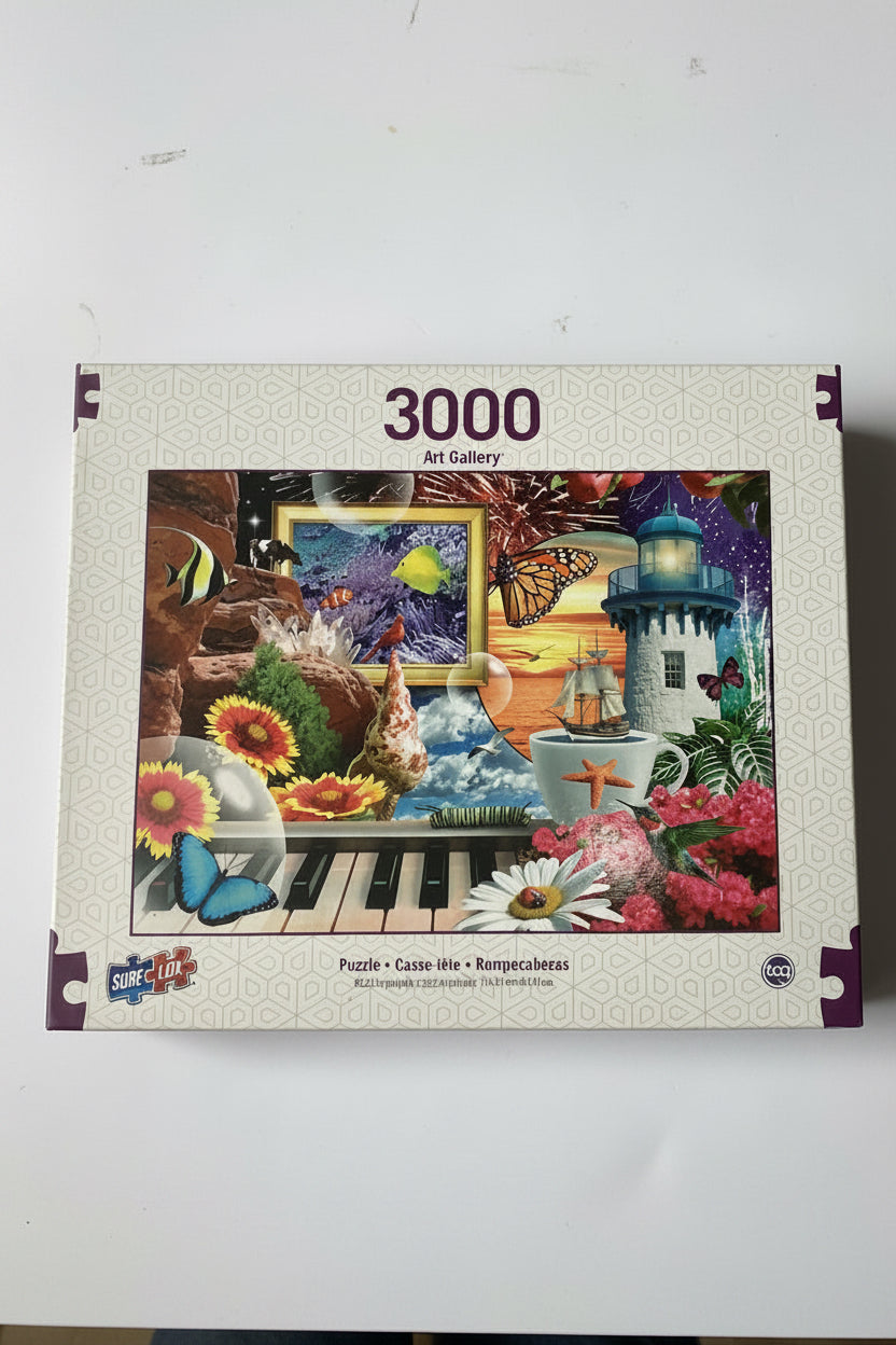 Art Gallery 3000