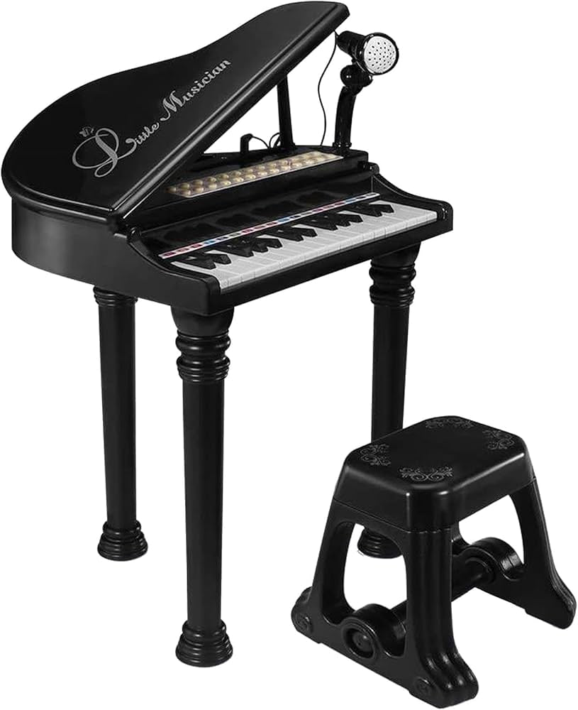 Music Education Electronic Organ 3+ (Children Piano).