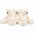 Teddy Bear (Medium)