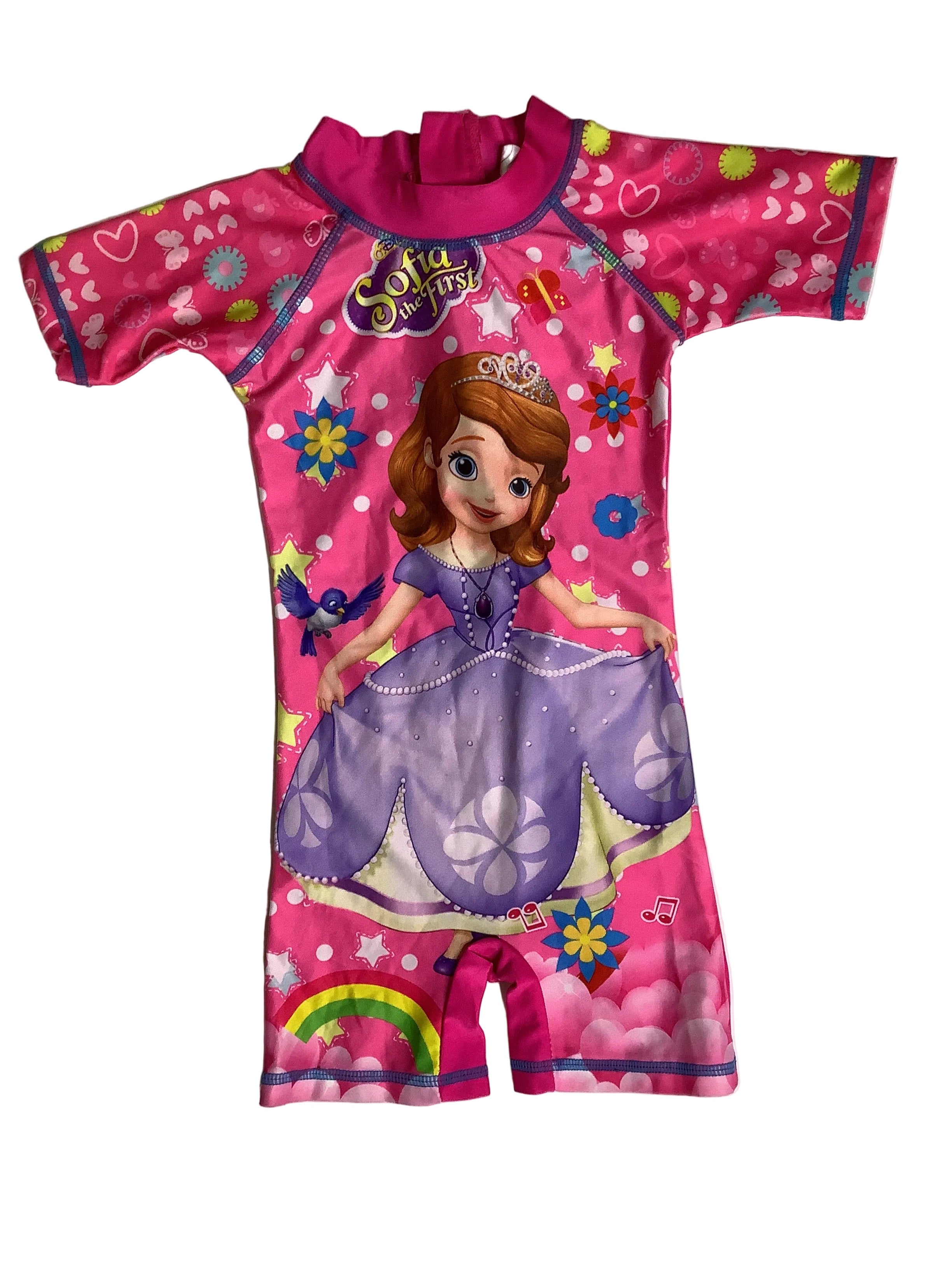 Character Swim Suit