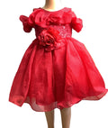 Baby Girl Ball Gown.