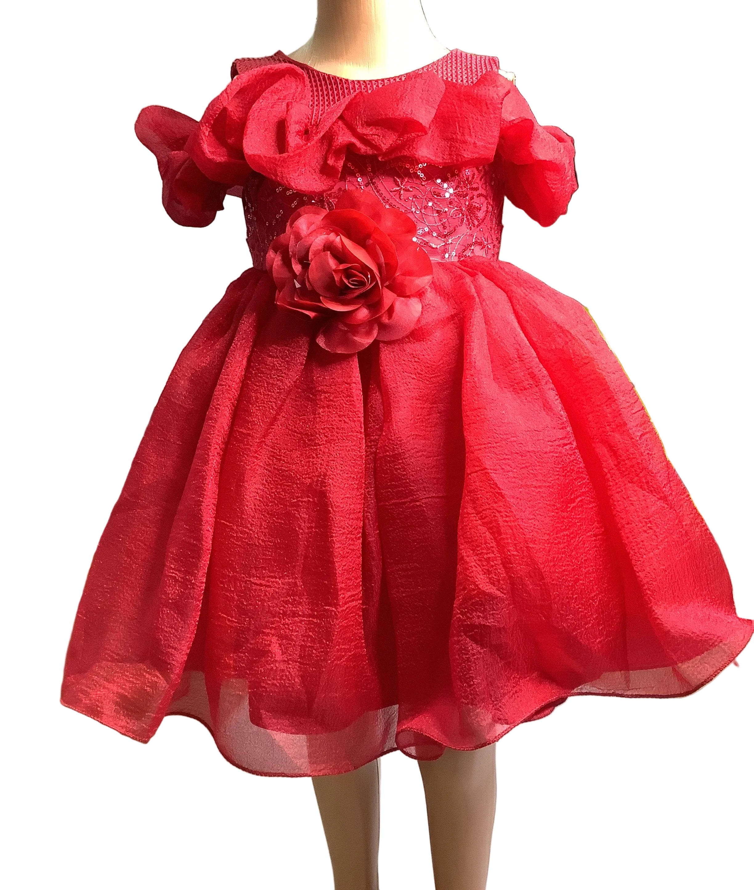 Baby Girl Ball Gown.