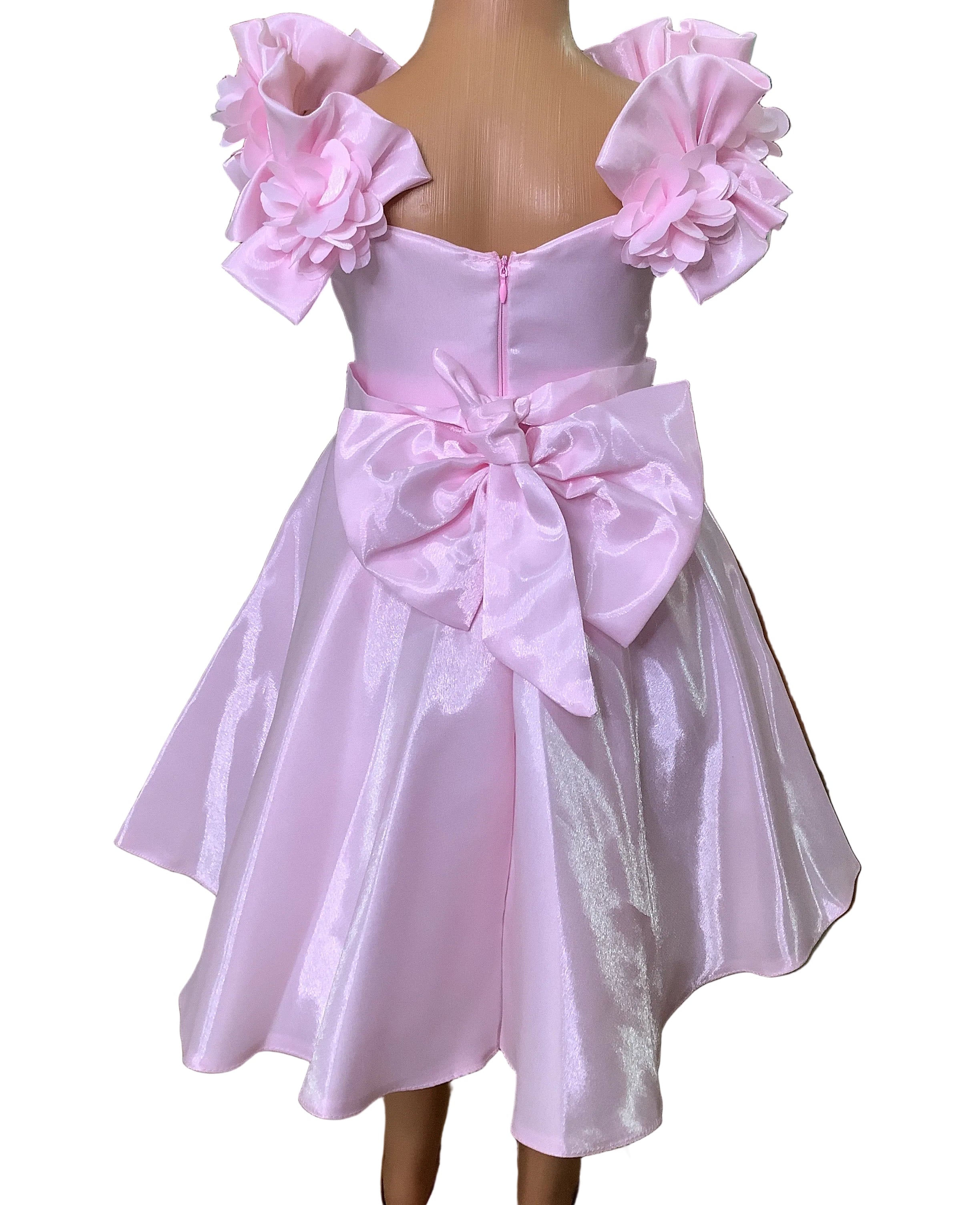 Miss Liwa Pink Ball Gown