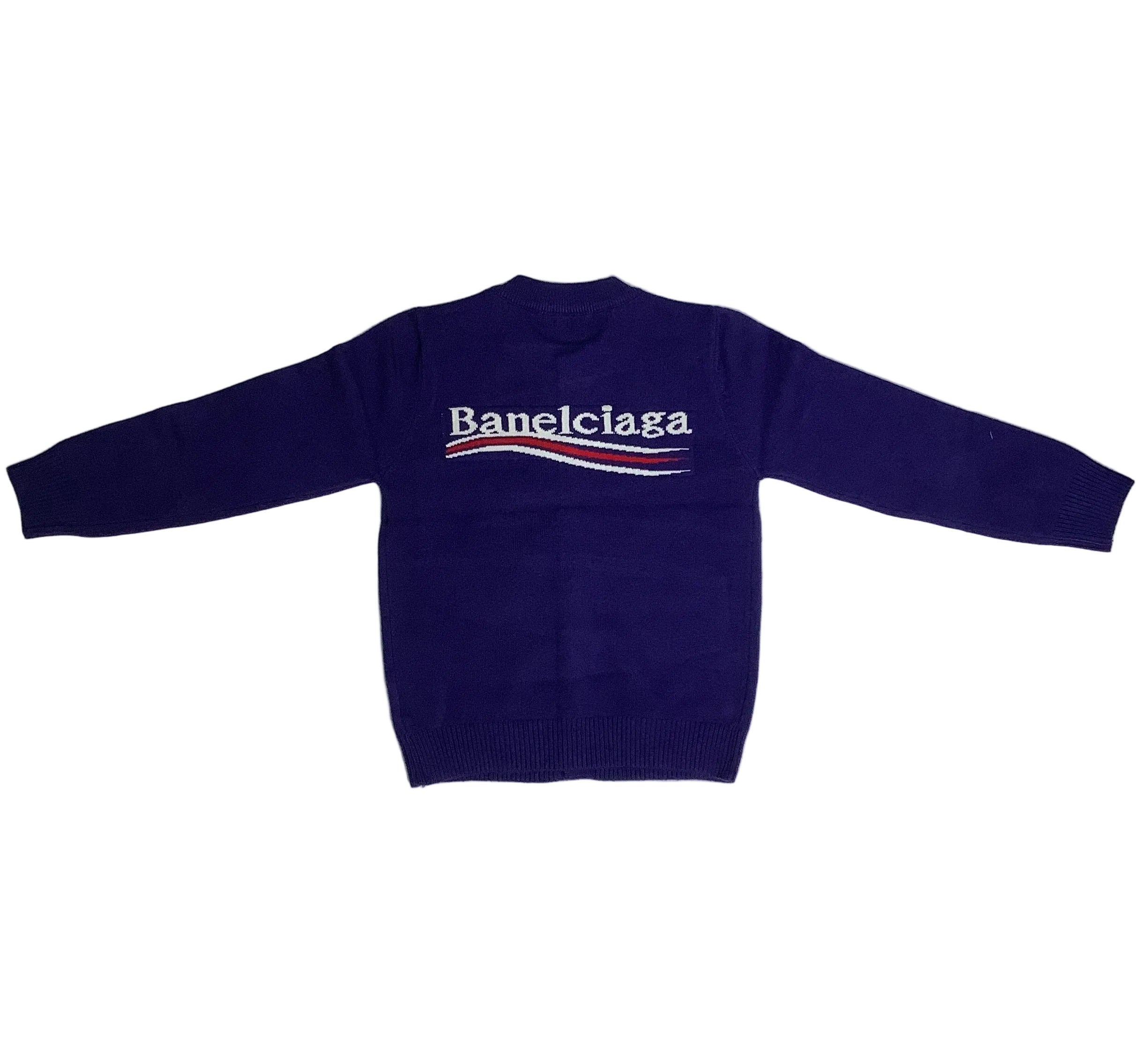 Werztoun Banelciaga hooded sweater