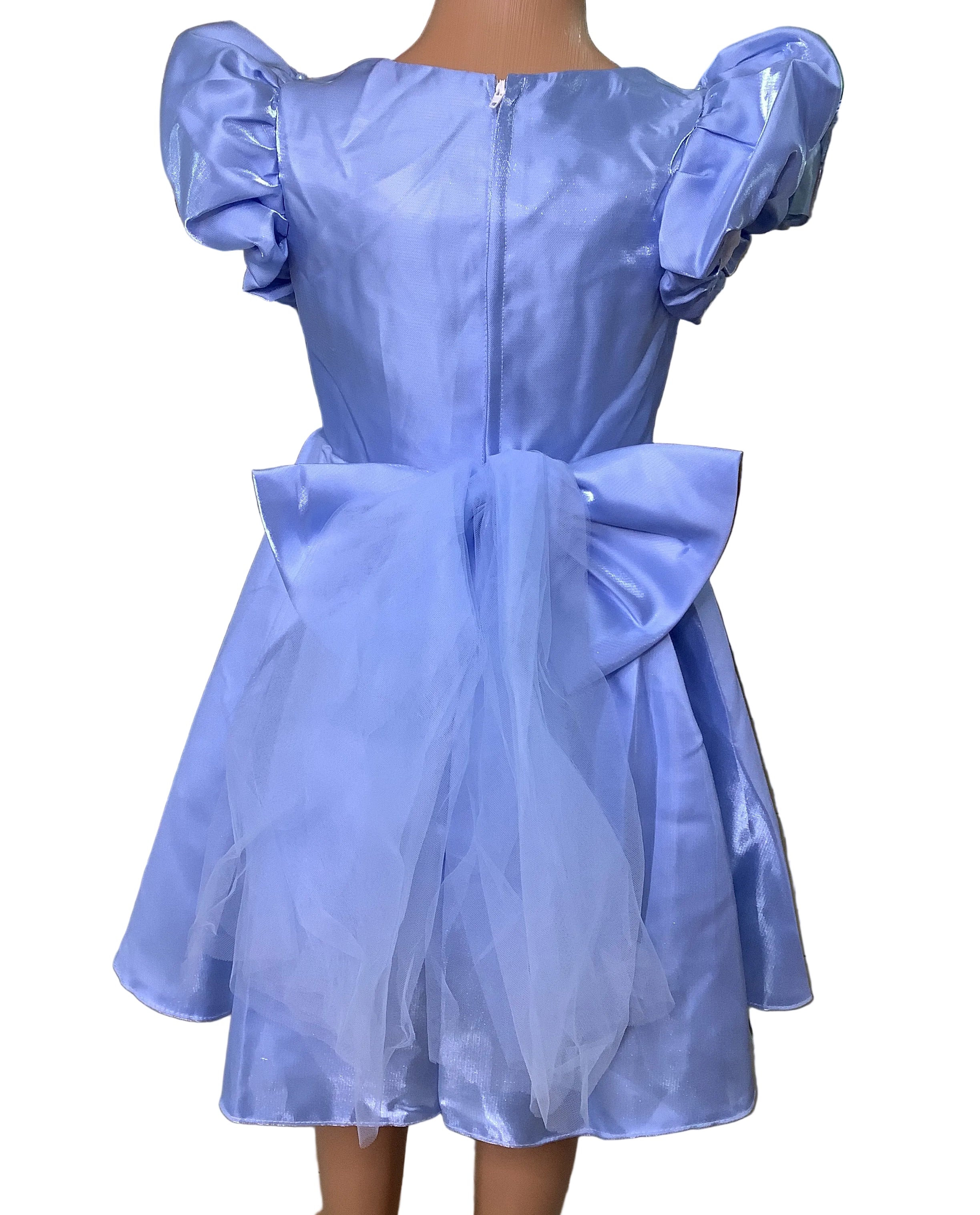 Baby Girls Ball Gown.