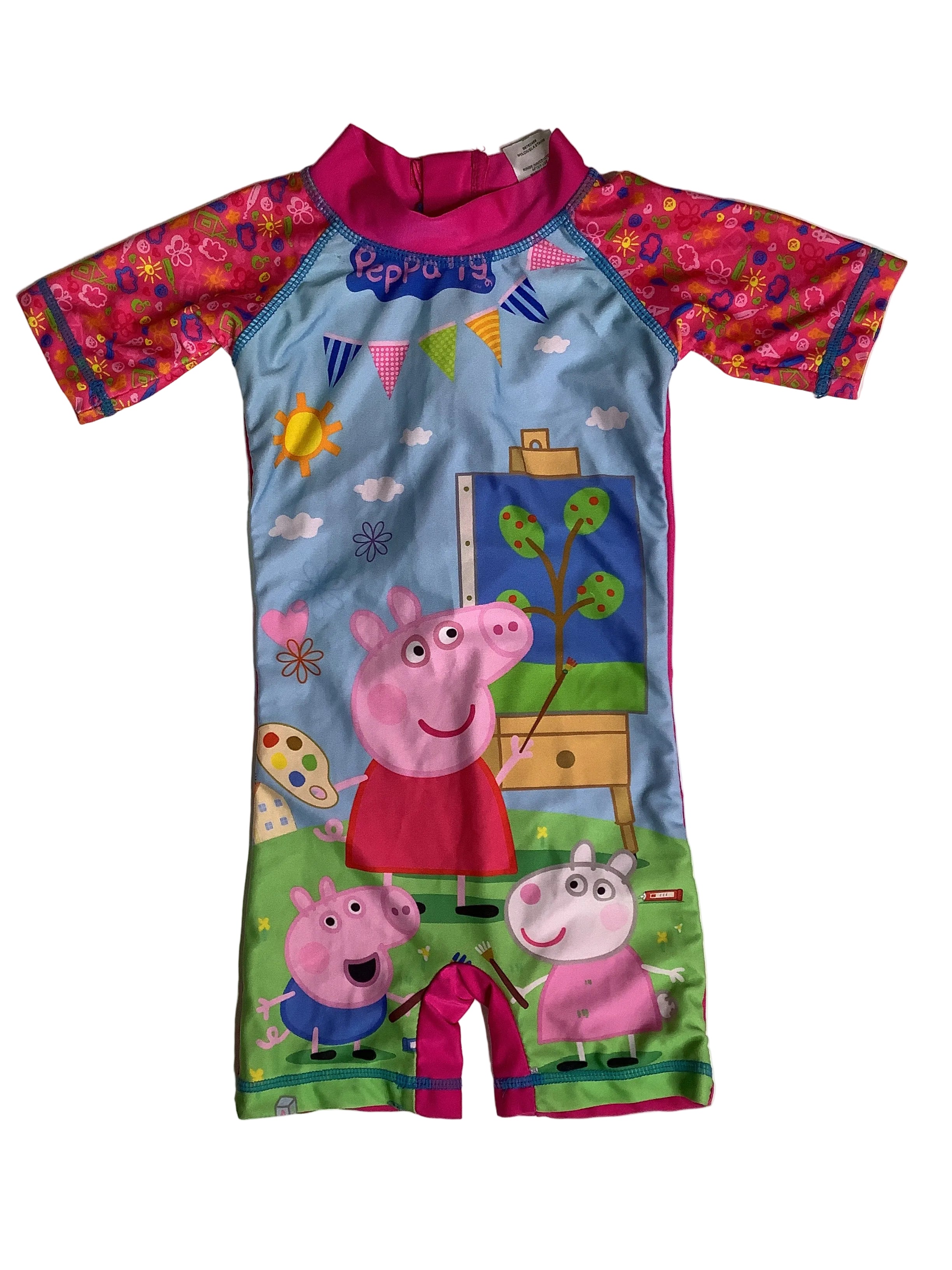 Character Swim Suit