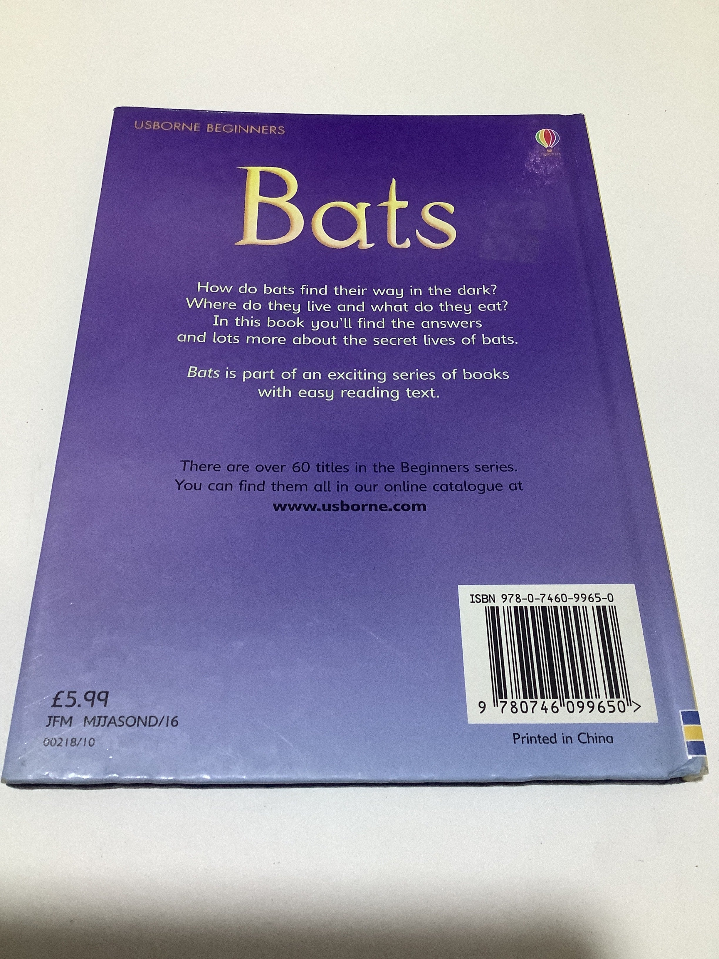 Usborne beginners (Bats)