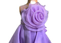 Elenora Princess Girls’ Ball Gown Dress