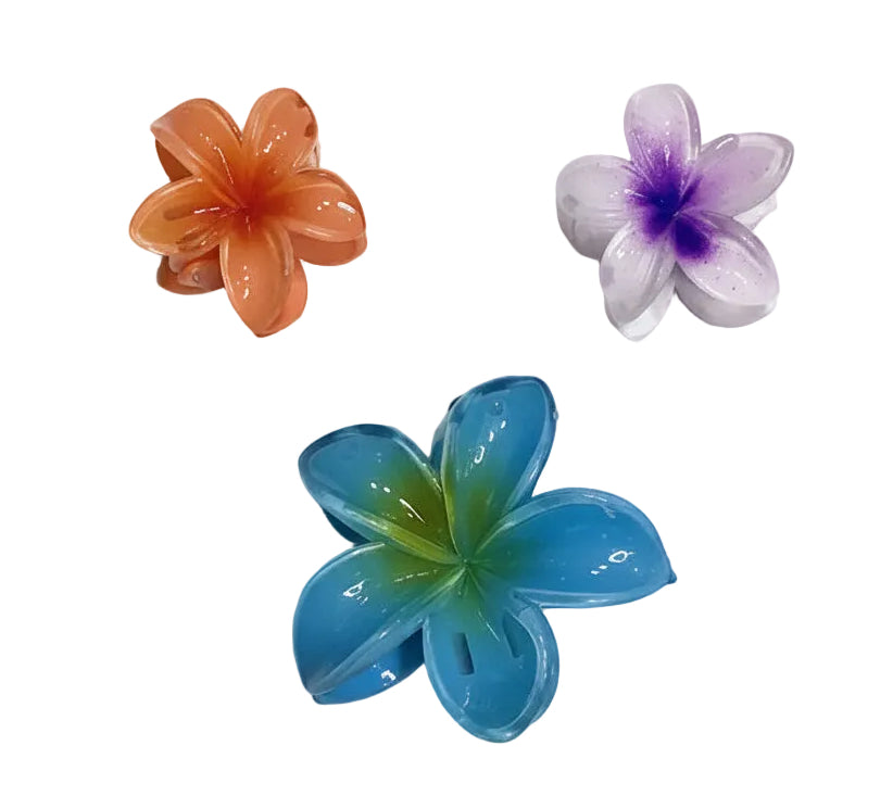 3in1 Girl's Hair Clip (Hair Accessory).
