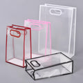 Transparent Gift Bag (Big).