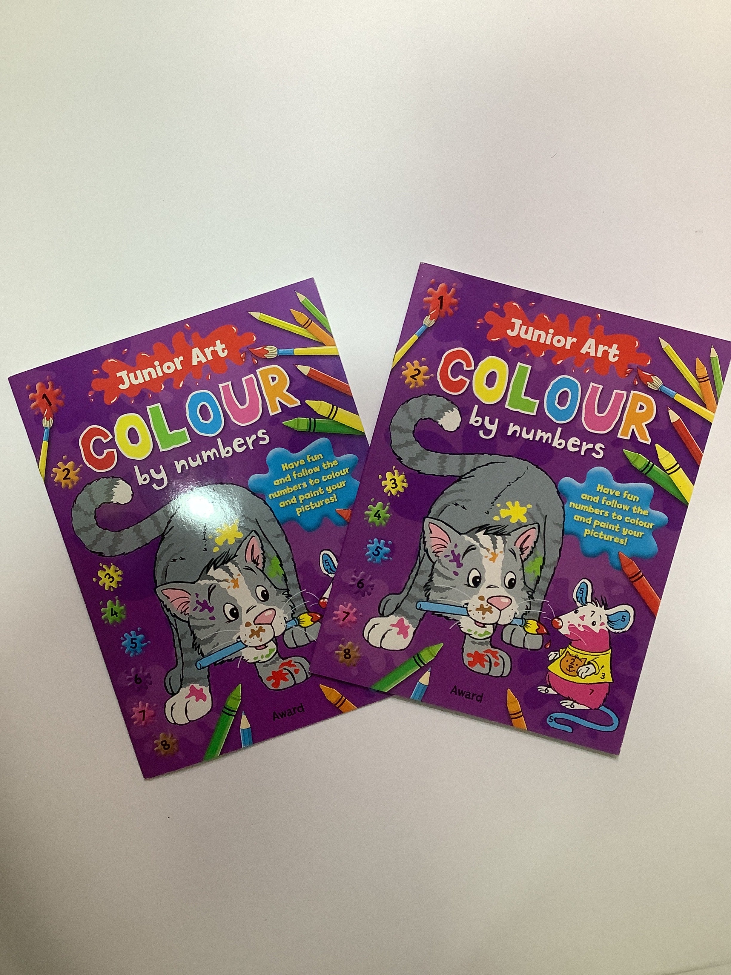 Junior art colour by numbers (painting is fun)