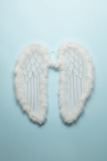 Angel Wings