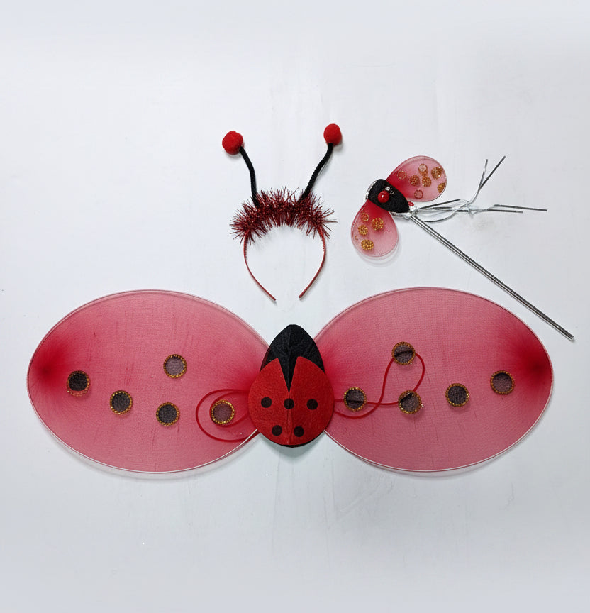 Bug Wings Costume.