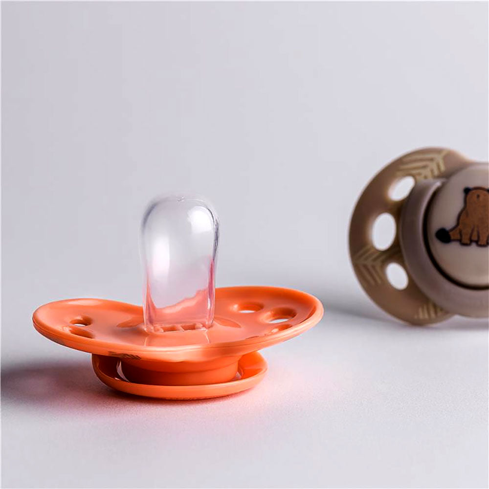 Tommee Tippee Fun Friends Orthodontic Pacificer (18-36m)