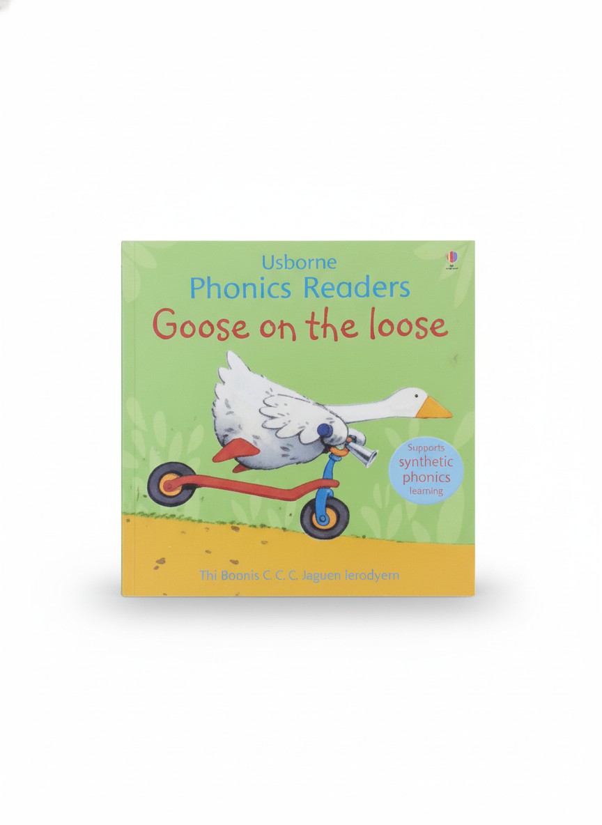 Usborne Phonics Readers Goose On The Loose