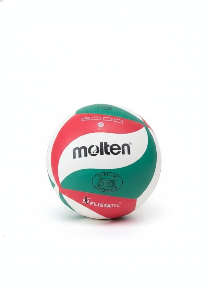 Molten Volleyball