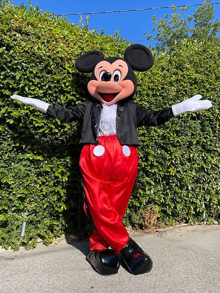 Mickey Mouse Costume