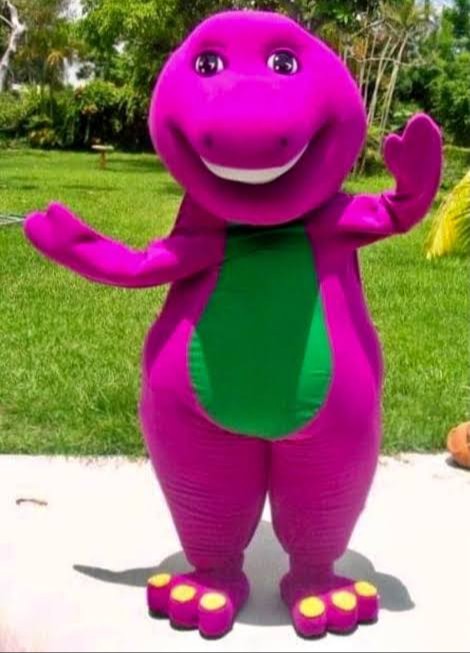 Barney and Friends Costume