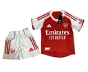 Arsenal Emirate Jersey