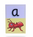 Flash Cards