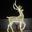 Giant Lighted Reindeer Décor
