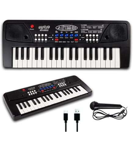 Big Fun Electronic Keyboard (BF-830A1).