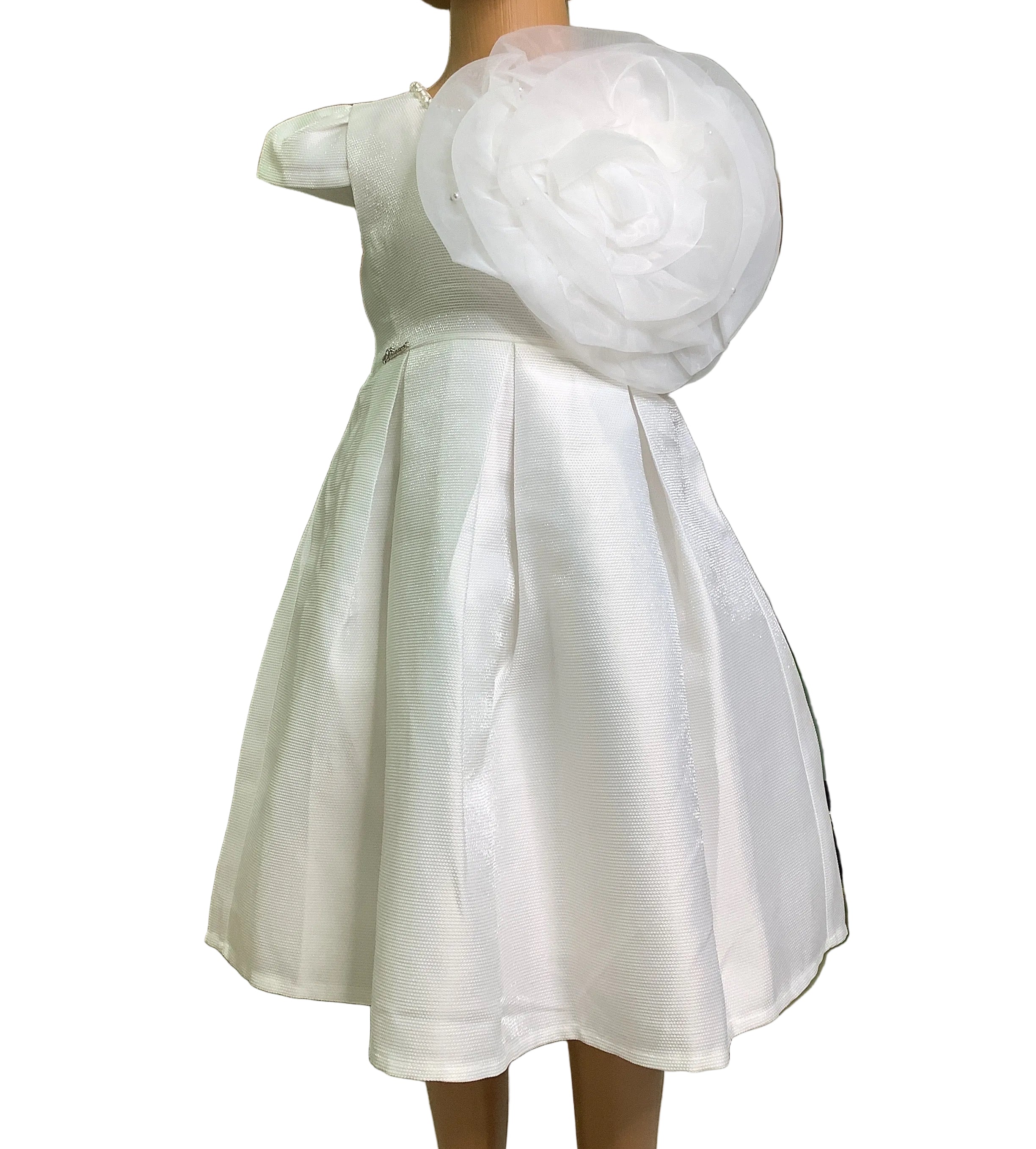 Elite Miss MaMa Ball Gown.